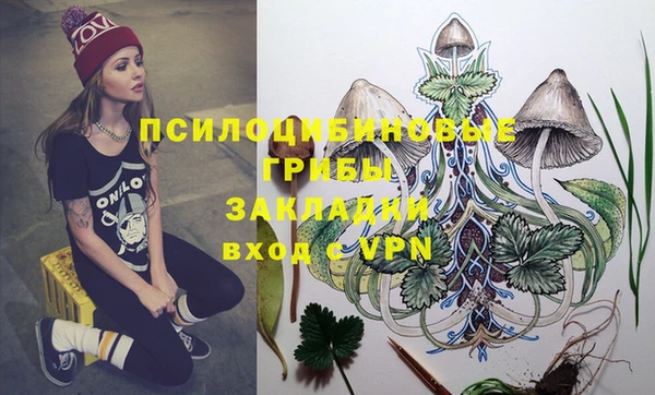 эйфоретик Беломорск