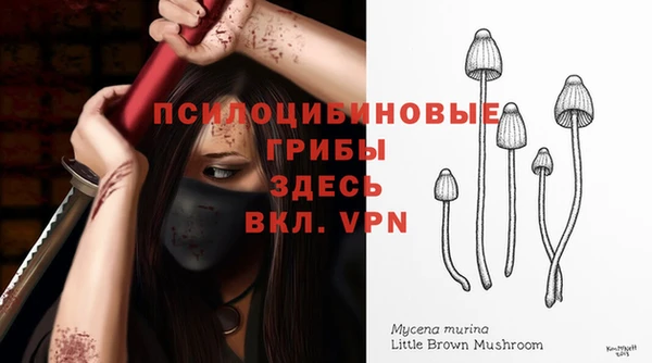 эйфоретик Беломорск