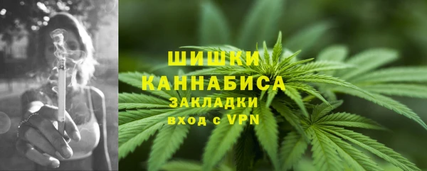 винт Белокуриха