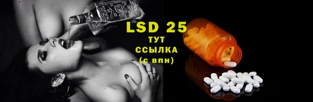 винт Белокуриха